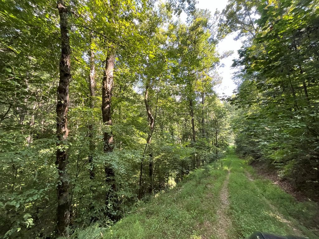83 AC Legion Road, Ellijay GA 30540 - Photo