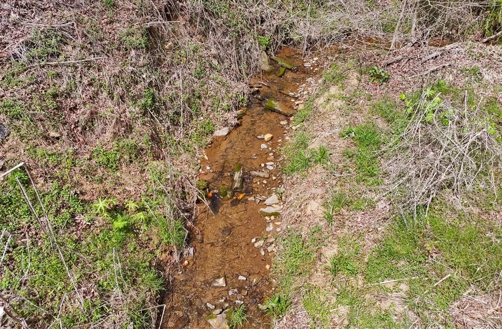 83 AC Legion Road, Ellijay GA 30540 - Photo