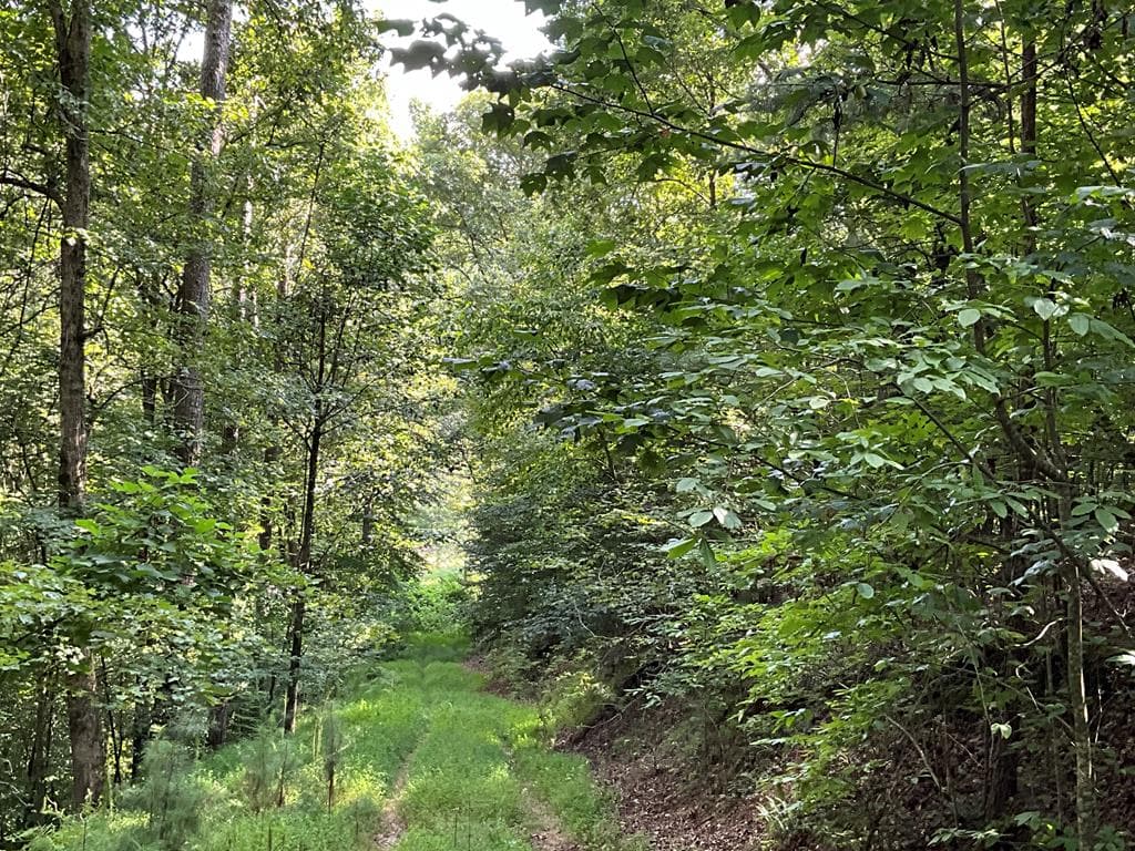 83 AC Legion Road, Ellijay GA 30540 - Photo