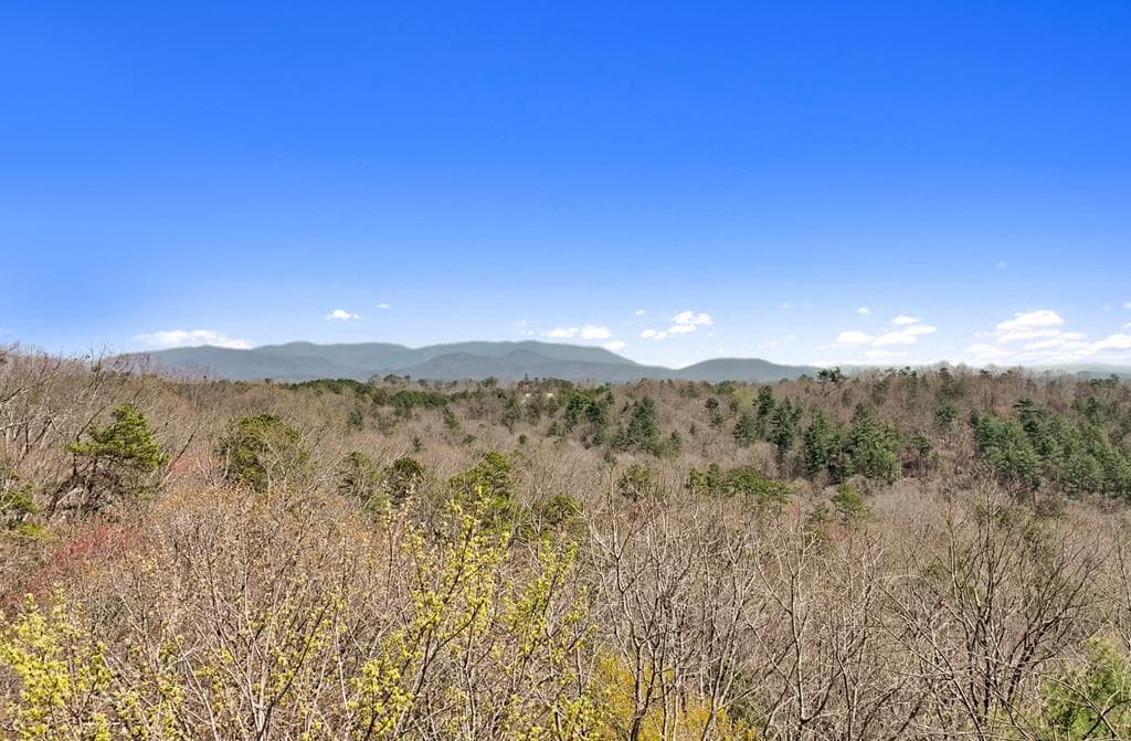 83 AC Legion Road, Ellijay GA 30540 - Photo