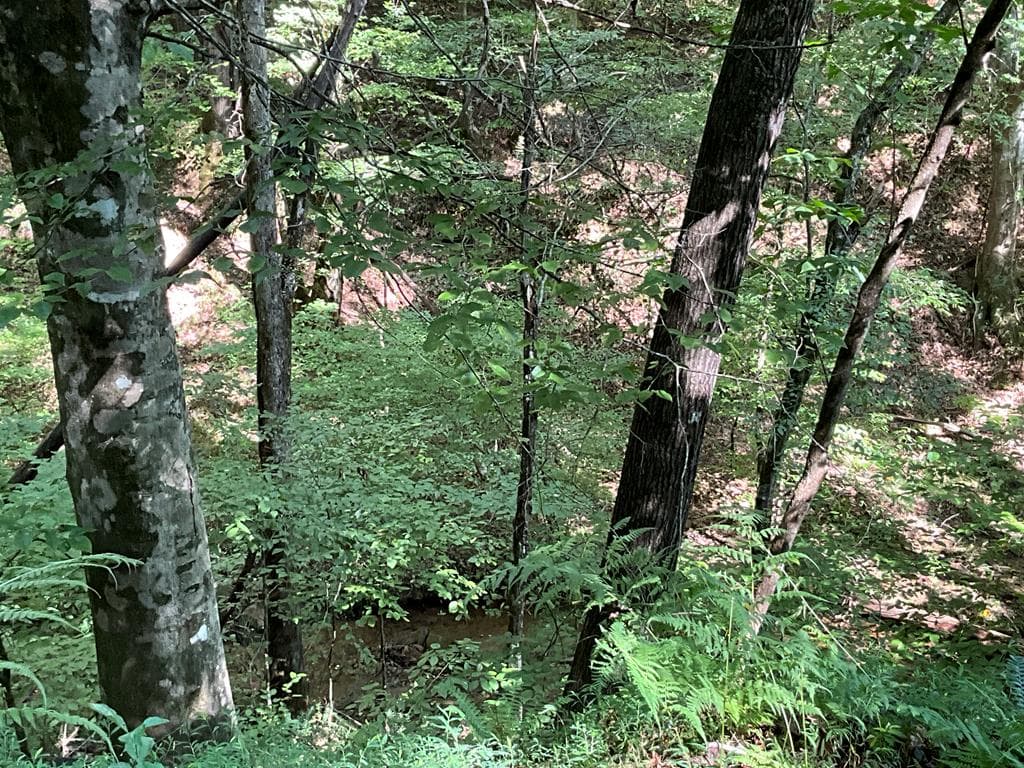 83 AC Legion Road, Ellijay GA 30540 - Photo
