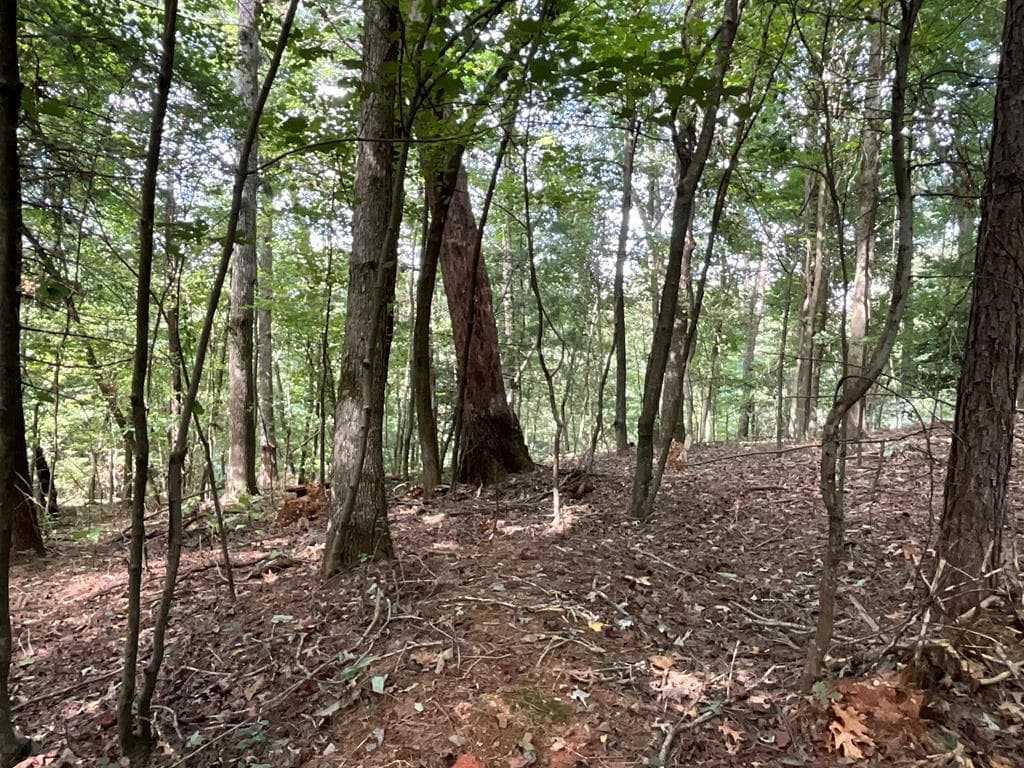 83 AC Legion Road, Ellijay GA 30540 - Photo