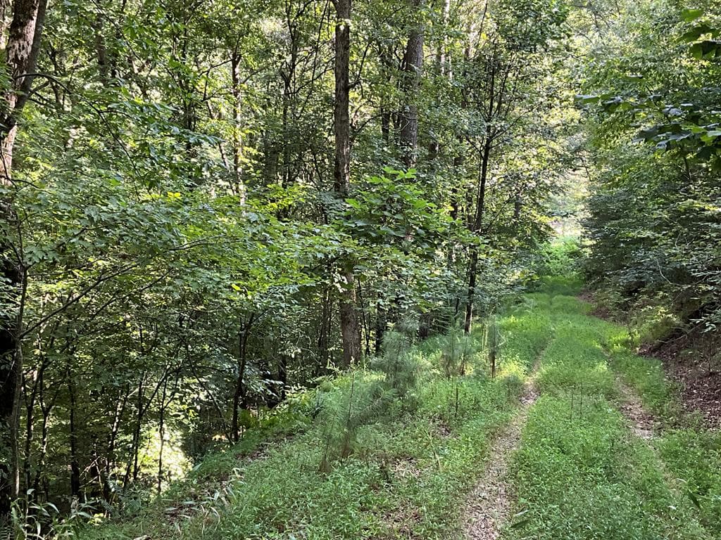83 AC Legion Road, Ellijay GA 30540 - Photo