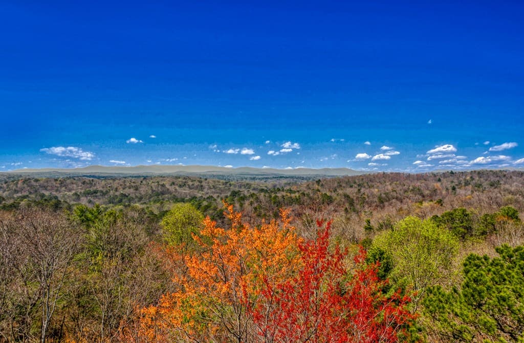 104 AC Legion Road, Ellijay GA 30540 - Photo