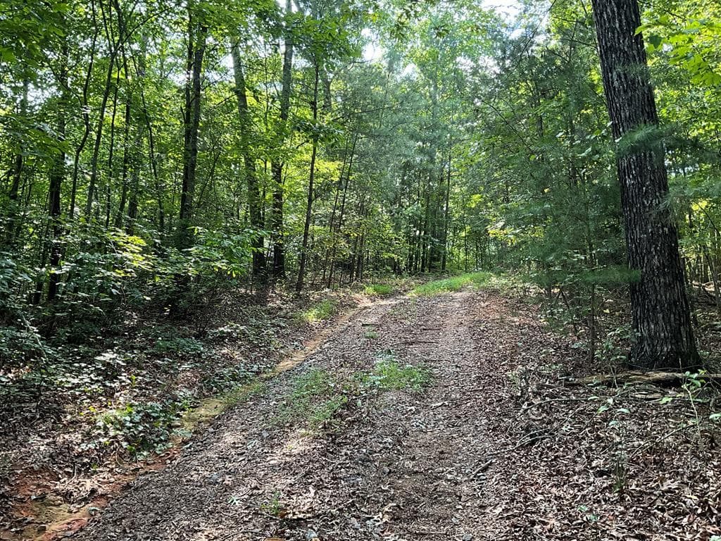 104 AC Legion Road, Ellijay GA 30540 - Photo