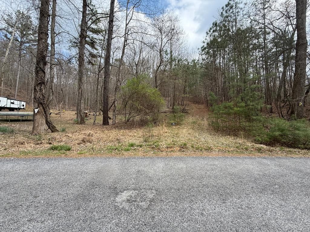 104 AC Legion Road, Ellijay GA 30540 - Photo