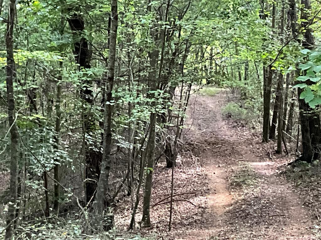 104 AC Legion Road, Ellijay GA 30540 - Photo