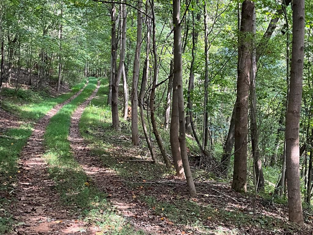 104 AC Legion Road, Ellijay GA 30540 - Photo