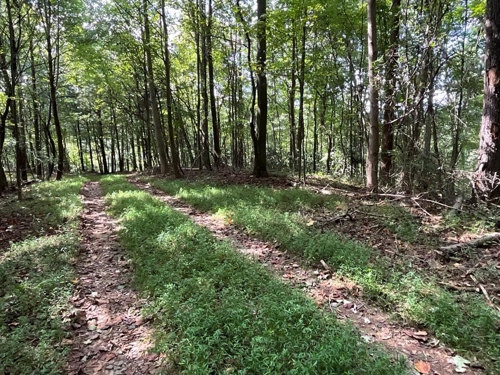 104 AC Legion Road, Ellijay GA 30540 - Photo