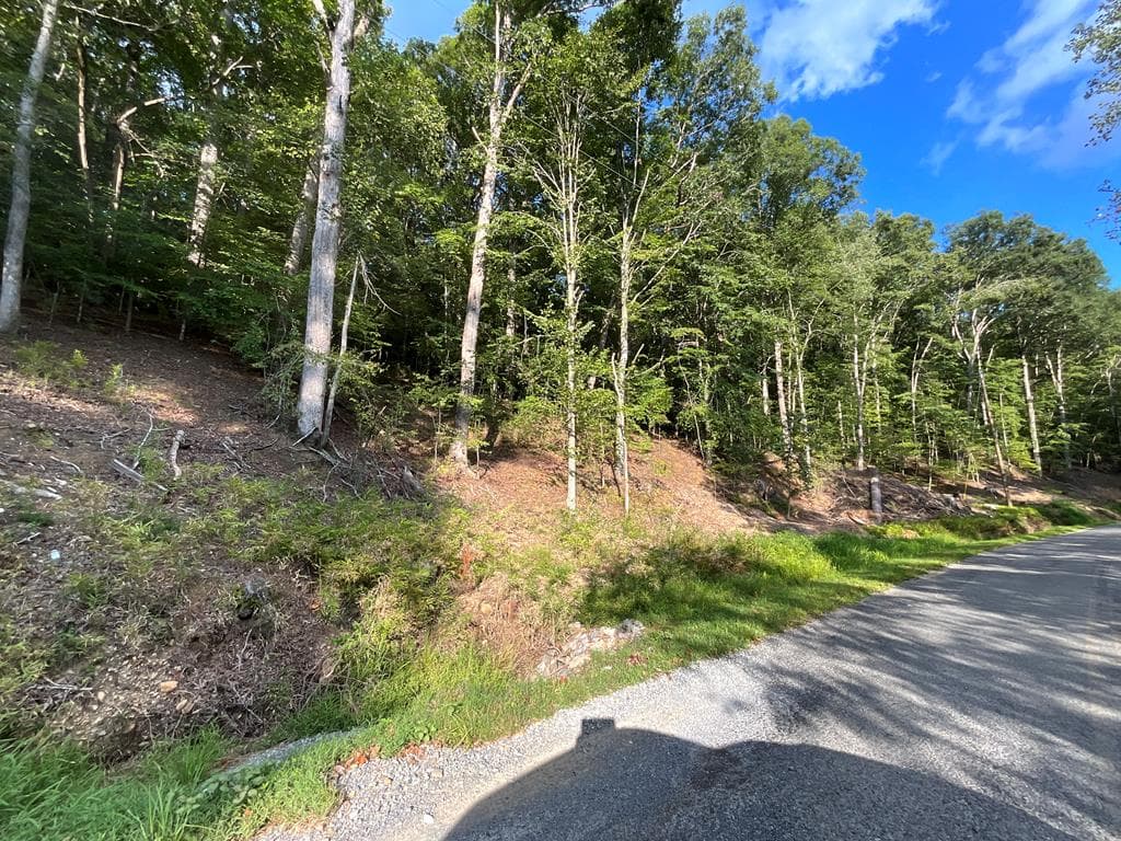 104 AC Legion Road, Ellijay GA 30540 - Photo