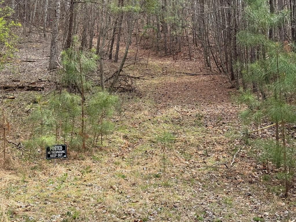 104 AC Legion Road, Ellijay GA 30540 - Photo