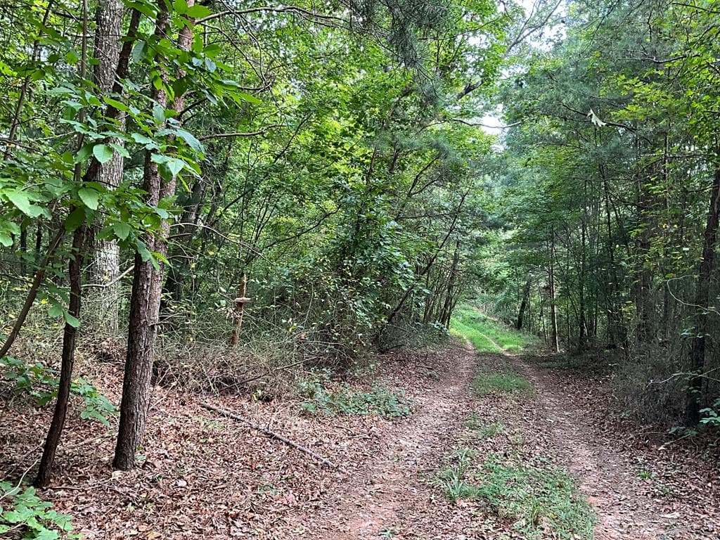 104 AC Legion Road, Ellijay GA 30540 - Photo