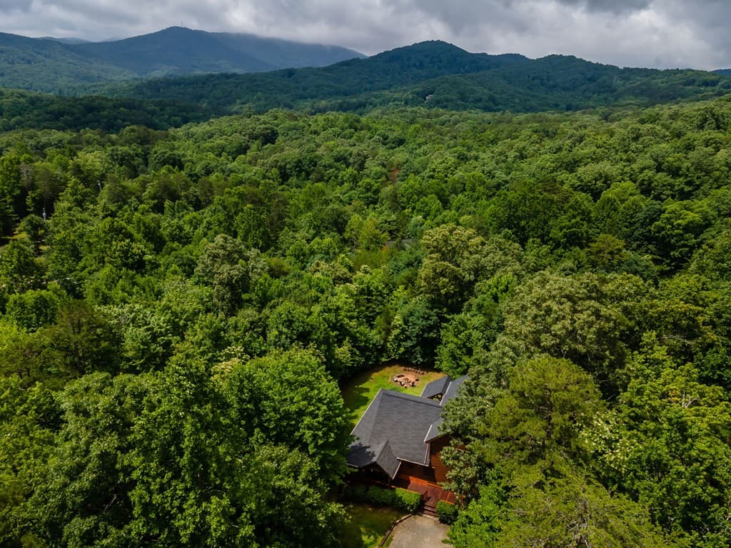 93 Deer Hunter Trail, Blue Ridge GA 30513 - Photo