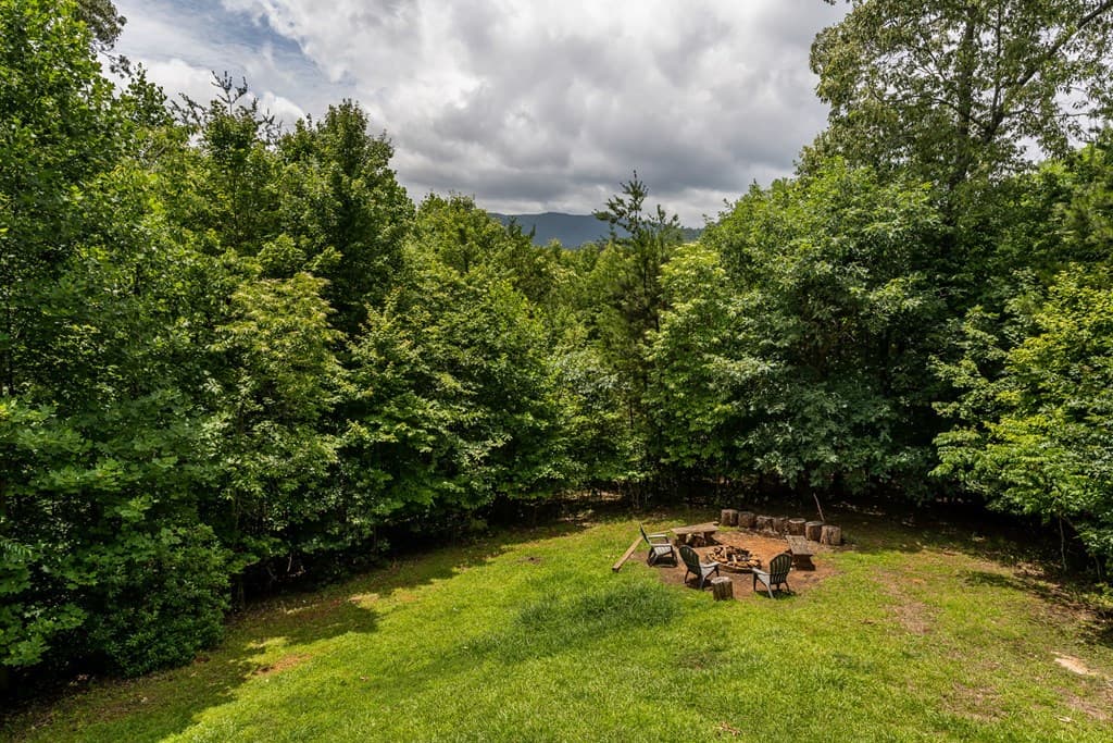93 Deer Hunter Trail, Blue Ridge GA 30513 - Photo
