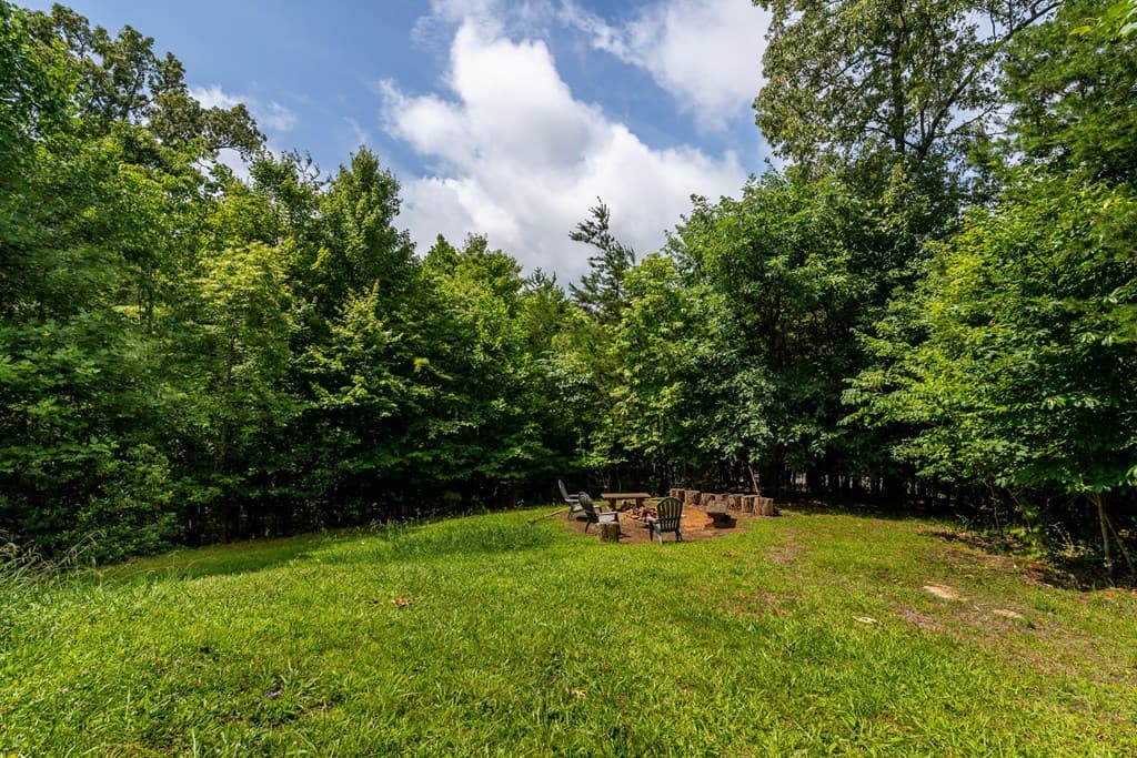 93 Deer Hunter Trail, Blue Ridge GA 30513 - Photo