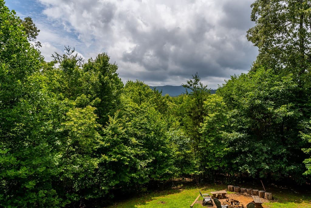 93 Deer Hunter Trail, Blue Ridge GA 30513 - Photo