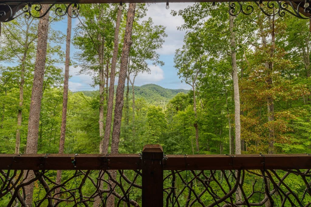 101 Heights Overlook, Blue Ridge GA 30513 - Photo