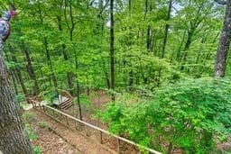 93 Martin Crossing, Cherry Log GA 30522 - Photo
