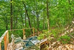 93 Martin Crossing, Cherry Log GA 30522 - Photo