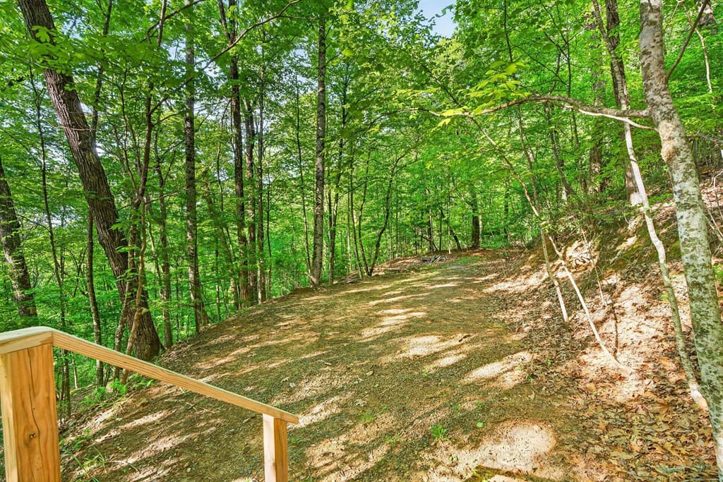 93 Martin Crossing, Cherry Log GA 30522 - Photo