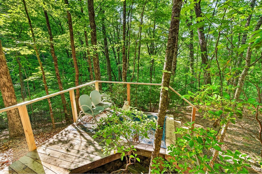93 Martin Crossing, Cherry Log GA 30522 - Photo