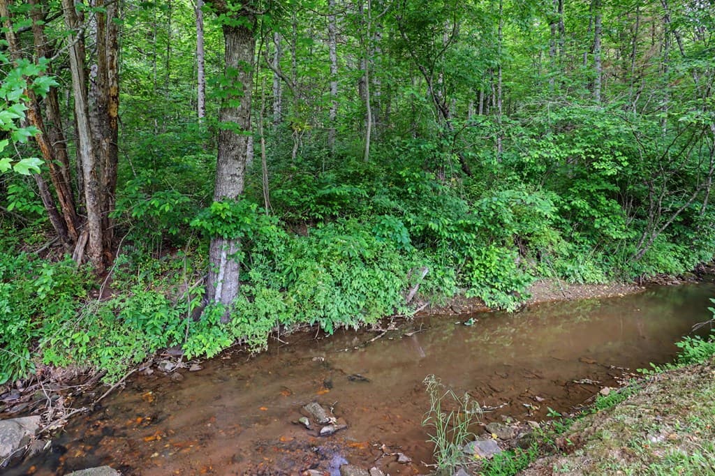 1139 Bearmeat Road, Hiawassee GA 30546 - Photo