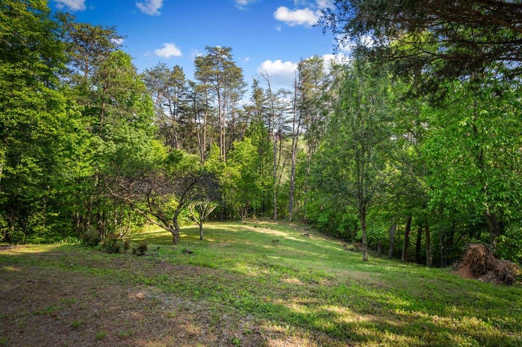 100 Lakeview Drive, Turtletown TN 37391 - Photo
