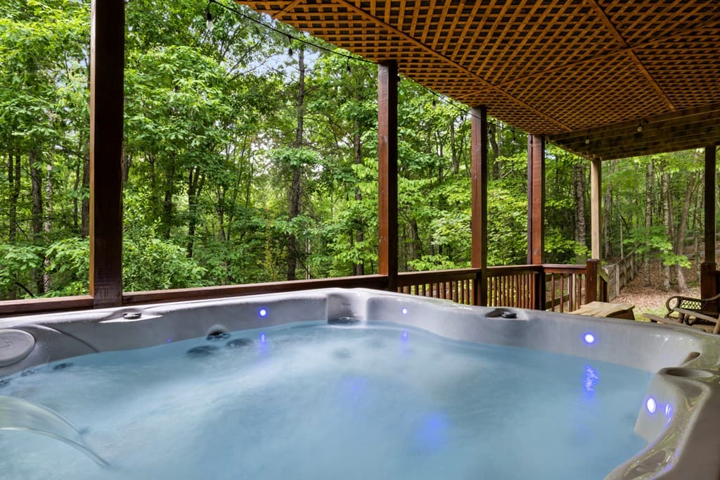 220 Solar Drive, Blue Ridge GA 30513 - Photo
