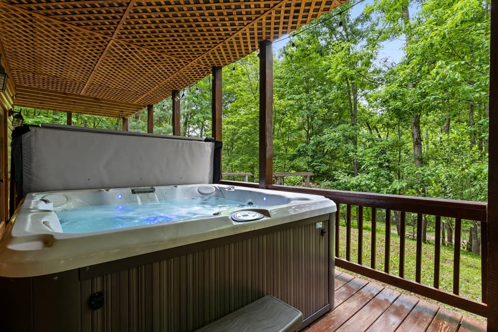 220 Solar Drive, Blue Ridge GA 30513 - Photo