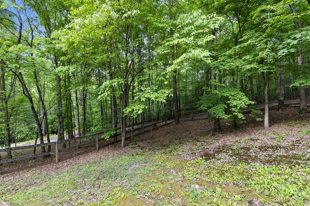 220 Solar Drive, Blue Ridge GA 30513 - Photo