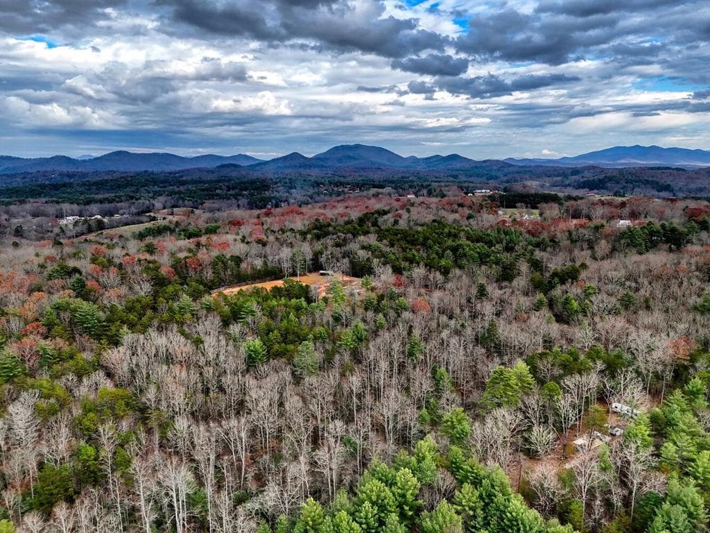 161 Nottely Woods Road E, Blairsville GA 30512 - Photo