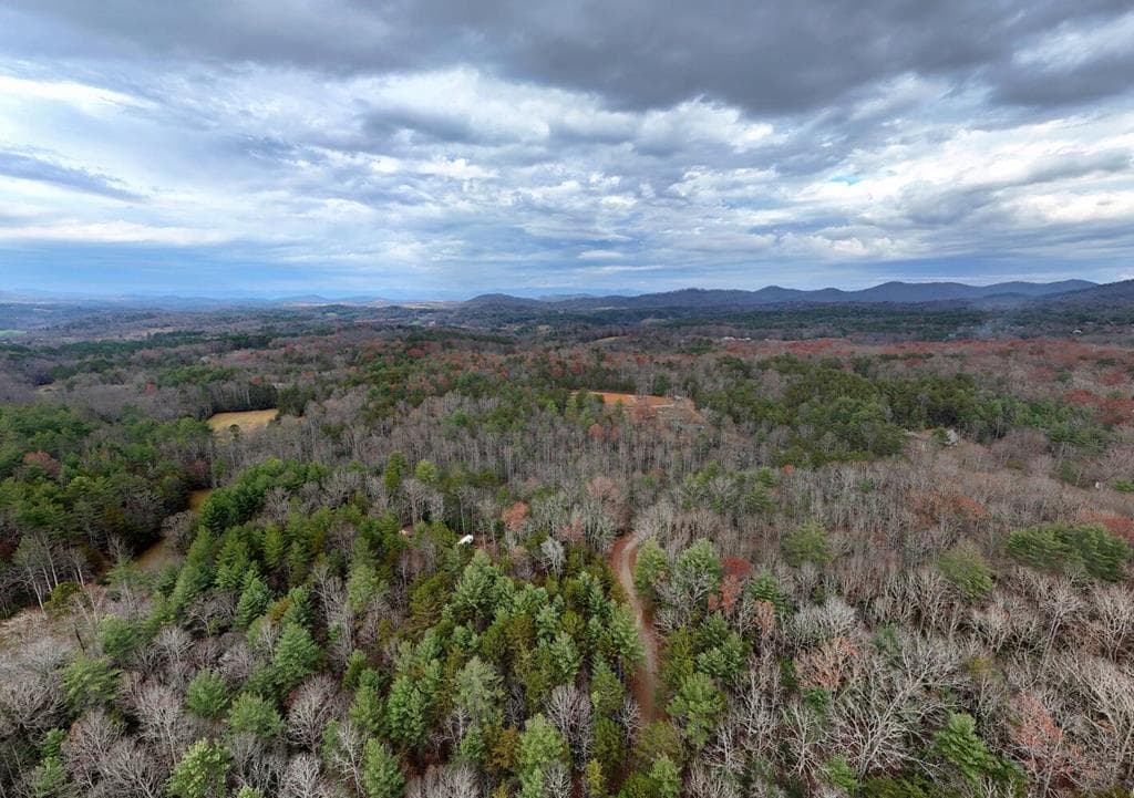 161 Nottely Woods Road E, Blairsville GA 30512 - Photo