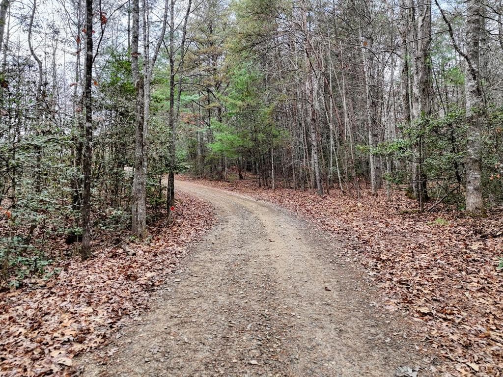 161 Nottely Woods Road E, Blairsville GA 30512 - Photo