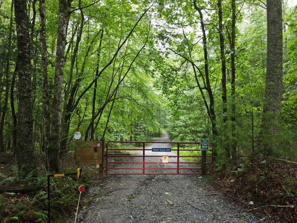 214 Sourwood Drive, Blue Ridge GA 30513 - Photo