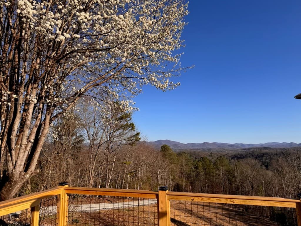 355 Up The Creek Trail, Hayesville NC 28904 - Photo