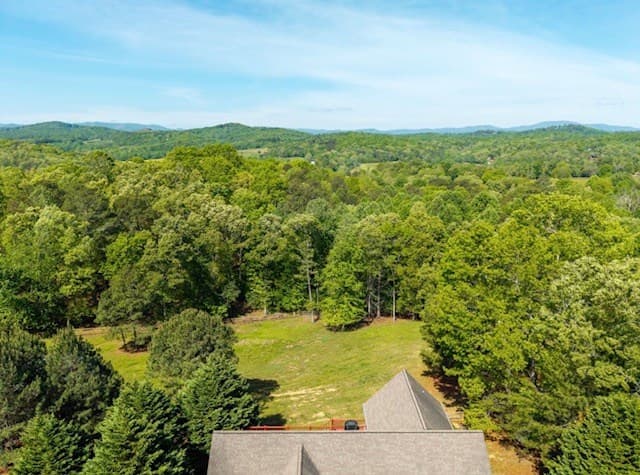 178 Windy Valley Lane, Blue Ridge GA 30513 - Photo