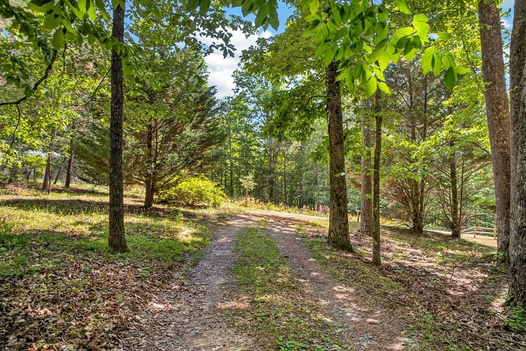 239 Reindeer Lane, Talking Rock GA 30175 - Photo