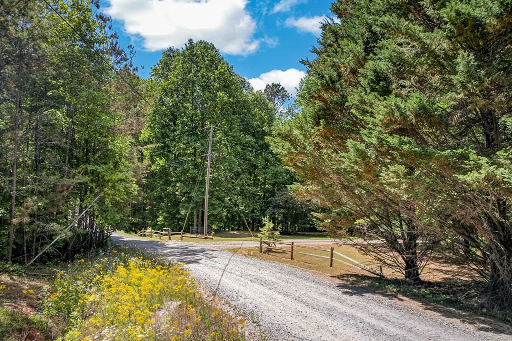 239 Reindeer Lane, Talking Rock GA 30175 - Photo