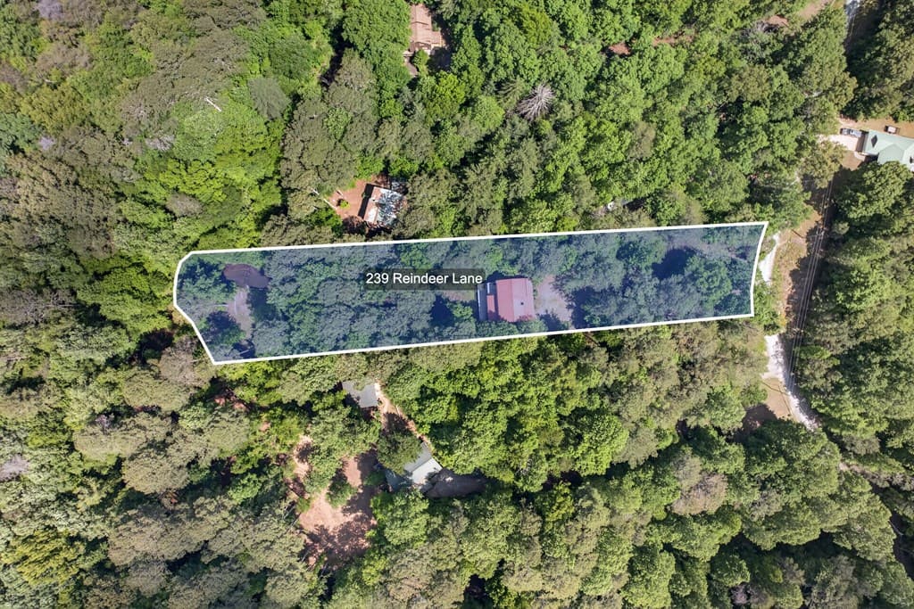 239 Reindeer Lane, Talking Rock GA 30175 - Photo