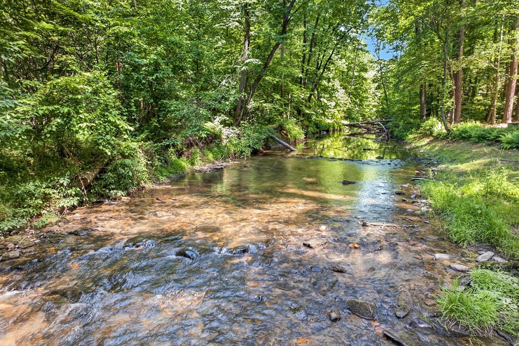 239 Reindeer Lane, Talking Rock GA 30175 - Photo