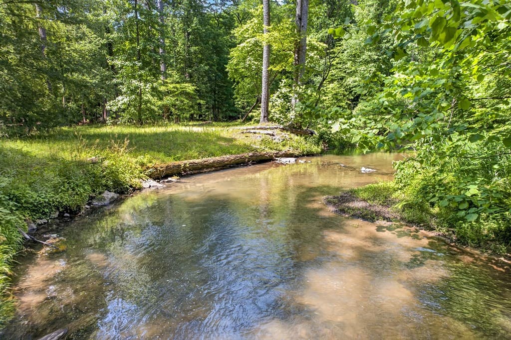 239 Reindeer Lane, Talking Rock GA 30175 - Photo