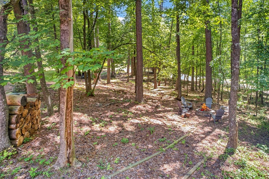 239 Reindeer Lane, Talking Rock GA 30175 - Photo