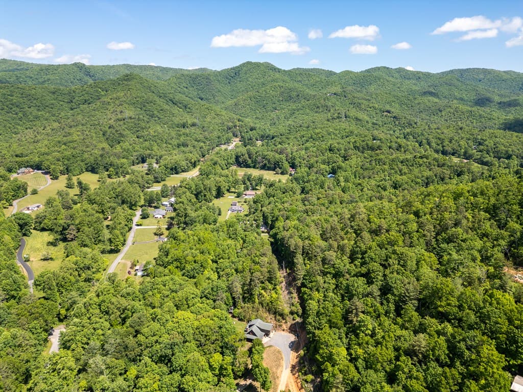 1064 Pinedale Lane, Andrews NC 28901 - Photo