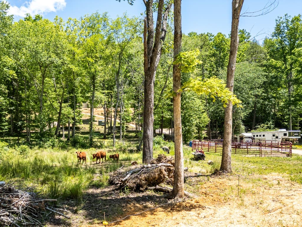 1064 Pinedale Lane, Andrews NC 28901 - Photo