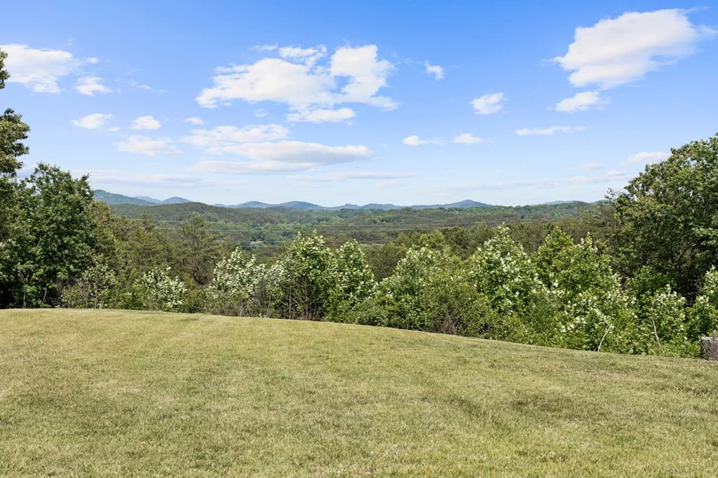 111 Briggs Street, Mccaysville GA 30555 - Photo