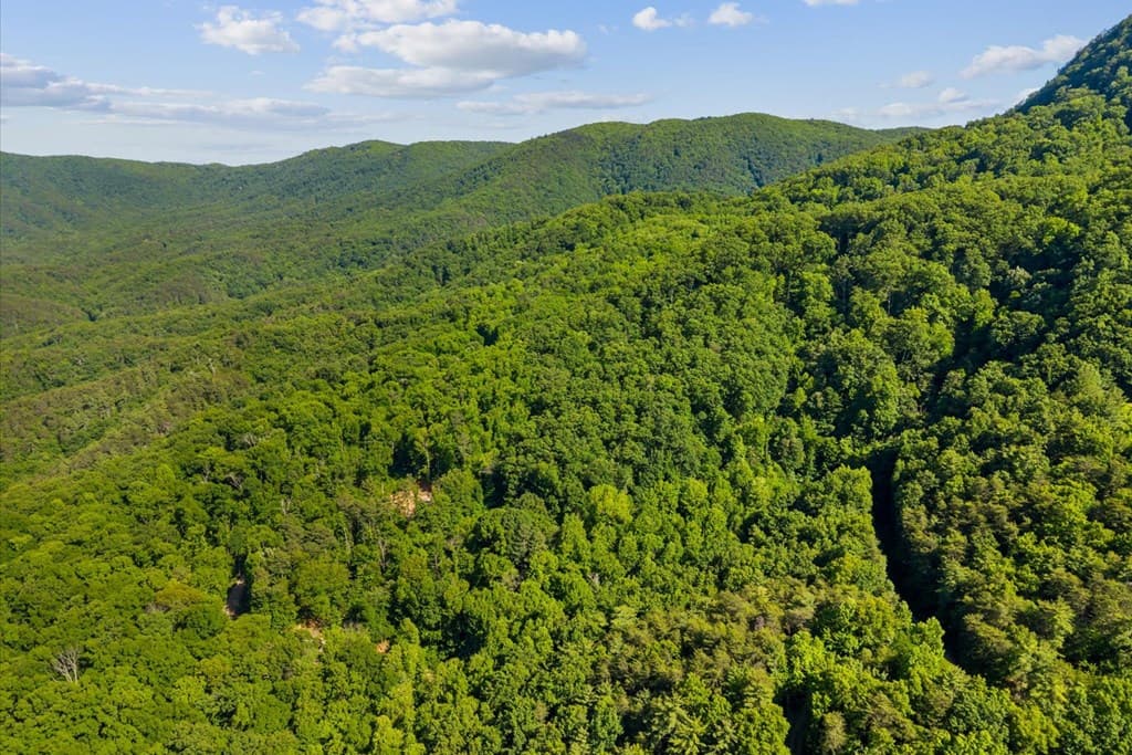 0 Emery Creek Road, Chatsworth GA 30705 - Photo