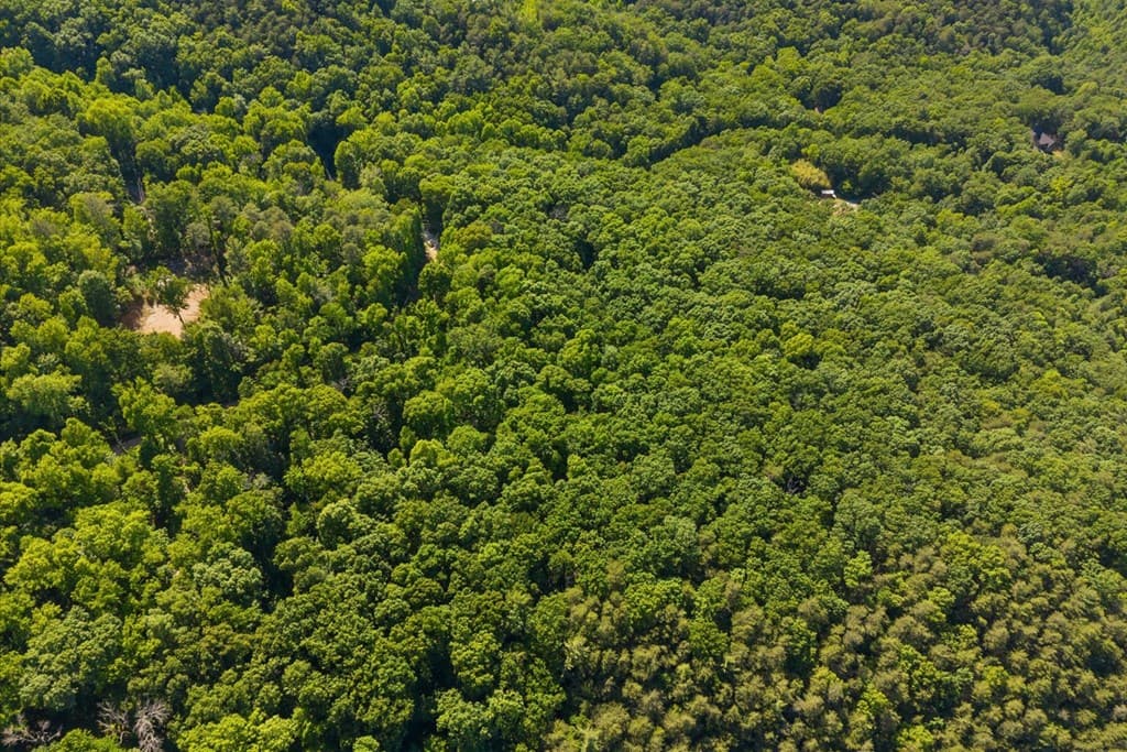 0 Emery Creek Road, Chatsworth GA 30705 - Photo