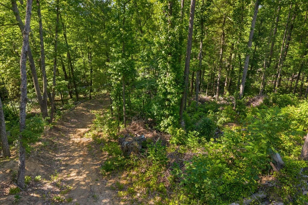 0 Emery Creek Road, Chatsworth GA 30705 - Photo
