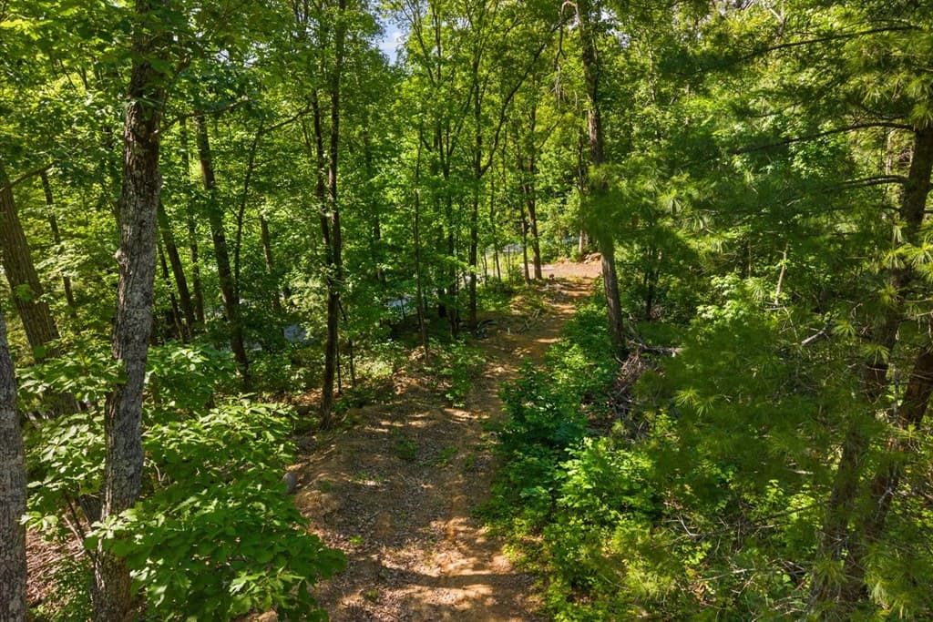 0 Emery Creek Road, Chatsworth GA 30705 - Photo