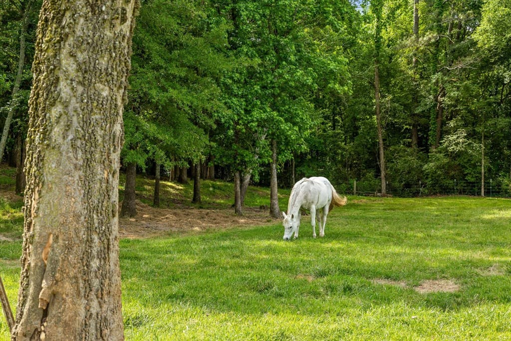 482 Glenn Howard Rd, Chatsworth GA 30705 - Photo